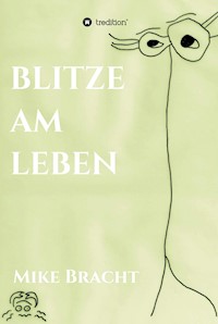 Blitze am Leben - Mike Bracht - ebook