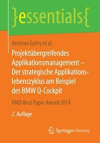 Projektübergreifendes Applikationsmanagement – Der strategische Applikationslebenszyklus am Beispiel des BMW Q-Cockpit - Andreas Györy - ebook