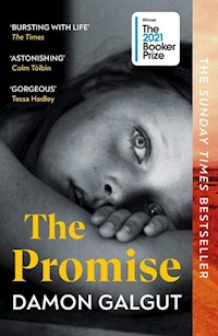 The Promise - Galgut Damon - książka