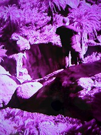 Verzweifelungsschrei vorm Abgrund - Rolf Spittel - ebook