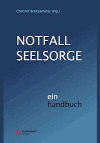 Notfallseelsorge -  - ebook