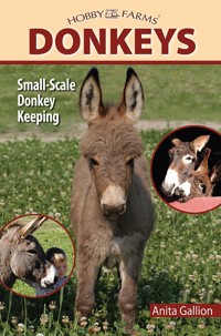 Donkeys - Anita Gallion - ebook