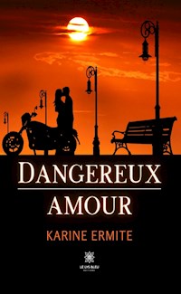 Dangereux amour - Karine Ermite - ebook