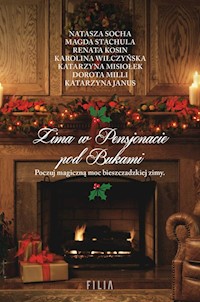 Zima w Pensjonacie pod Bukami - Socha Natasza,Stachula Magda,Kosin Renata,Wilczyńska Karolina,Misiołek Katarzyna,Milli Dorota,Janus - książka