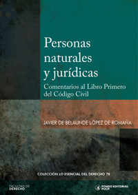 Personas naturales y jurídicas - Javier de Belaunde López de Romaña - ebook