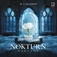 Nokturn - Calando B. - audiobook + książka