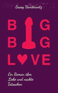 Big Big Love - Sassy Vanderwitz - ebook