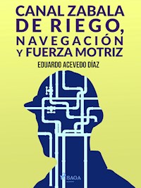 Canal Zabala de Riego, navegación y fuerza motriz - Eduardo Acevedo Diaz - ebook