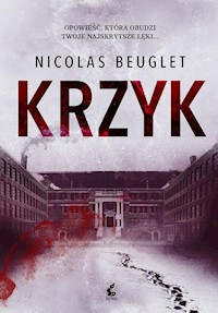 Krzyk - Nicolas Beuglet - książka