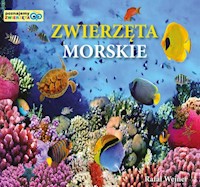 Zwierzęta morskie Poznajemy zwierzęta - Wejner Rafał - książka