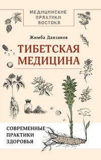 Тибетская медицина: современные практики здоровья - Жимба Данзанов - ebook