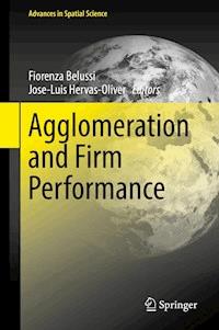 Agglomeration and Firm Performance -  - ebook