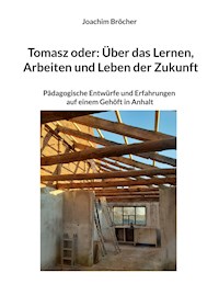 Tomasz oder: Über das Lernen, Arbeiten und Leben der Zukunft - Joachim Bröcher - ebook