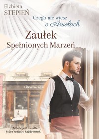 Zaułek Spełnionych Marzeń - Stępień Elżbieta - książka