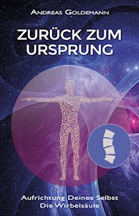 Zurück zum Ursprung - Andreas Goldemann - ebook