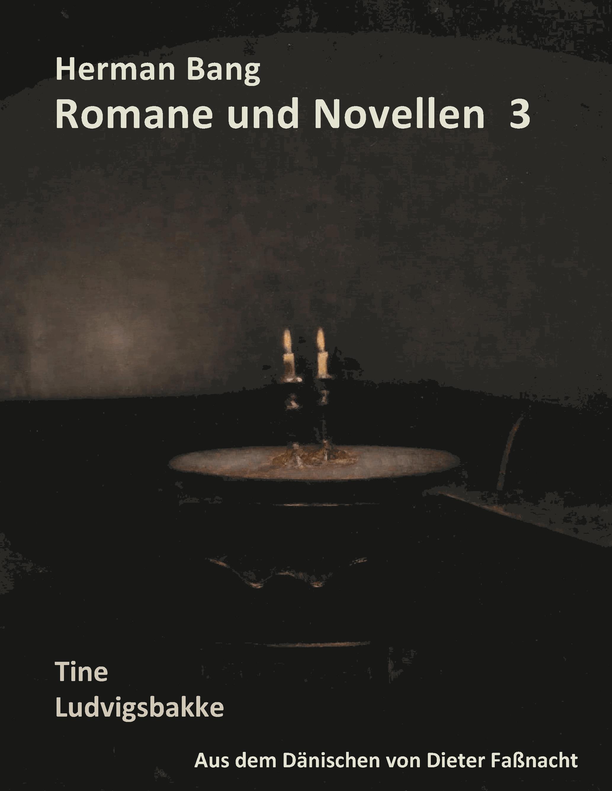 Herman Bang Romane und Novellen Band 3