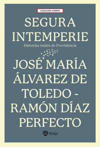 Segura intemperie - José María Álvarez de Toledo - ebook