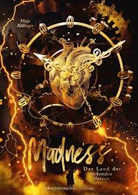 Madness - Maja Köllinger - ebook