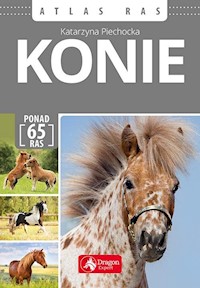 Konie Atlas ras - Piechocka Katarzyna - książka