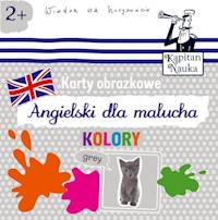Karty obrazkowe Angielski dla malucha Kolory -  - książka