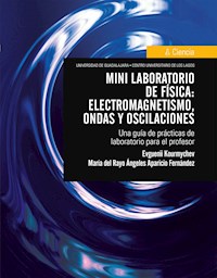 Mini laboratorio de física: electromagnetismo, ondas y oscilaciones - Evguenii Kourmychev - ebook
