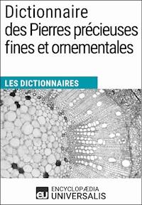 Dictionnaire des Pierres précieuses fines et ornementales - Encyclopaedia Universalis - ebook