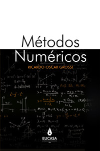 Métodos numéricos - Ricardo Oscar Grossi - ebook