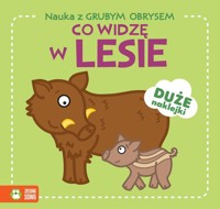 Nauka z grubym obrysem Co widzę w lesie -  - książka