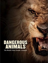 Dangerous Animals - Madden Barry - książka