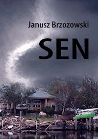 Sen - Brzozowski Janusz - ebook + audiobook