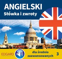 Angielski Słówka i zwroty dla średnio zaawansowanych 3 - Franciszka Sady - audiobook