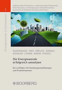 Die Energiewende erfolgreich umsetzen - Thilo Blennemann - ebook