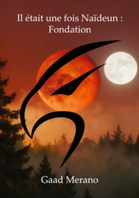 Il était une fois Naïdeun: Fondation - Gaad Merano - ebook