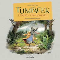 Tumfacek i Zbieg z Okoliczności - Garstka Jakub - ebook + audiobook + książka