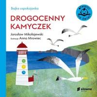 Bajka uspokajanka Drogocenny kamyczek - Jarosław Mikołajewski - książka