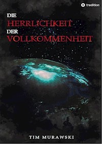 Die Herrlichkeit der Vollkommenheit - Tim Murawski - ebook