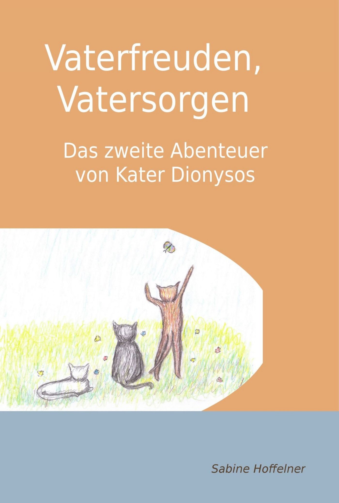 Vaterfreuden, Vatersorgen - Sabine Hoffelner - ebook