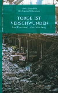 Torge ist verschwunden - Janina Schmiedel - ebook