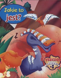 Jakie to jest Błyszczące elementy -  - książka