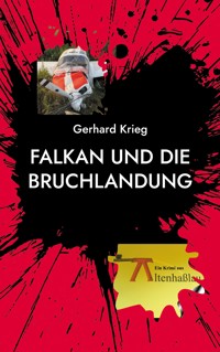 Falkan und die Bruchlandung - Gerhard Krieg - ebook
