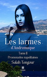 Les larmes d’Andromaque - Tome II - Salah Tengour - ebook