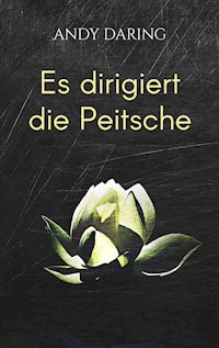 Es dirigiert die Peitsche - Andy Daring - ebook