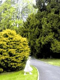 Liebesrisse - Ricarda Kühn - ebook