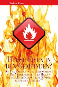 Heiße Eisen in den Gemeinden? - Eberhard Platte - ebook