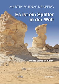 Es ist ein Splitter in der Welt - Martin Schnackenberg - ebook