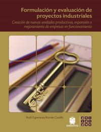 Formulación y evaluación de proyectos industriales - Ruth Esperanza Román Castillo - ebook