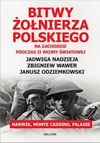 Bitwy żołnierza polskiego na Zachodzie. Narwik, Monte Cassino, Falaise -  - ebook