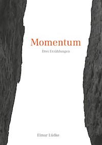 Momentum - Elmar Lüdke - ebook