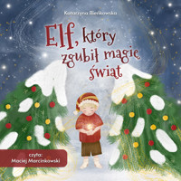 Elf, który zgubił magię świąt - Katarzyna Bieńkowska - ebook + audiobook