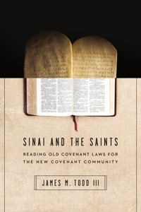 Sinai and the Saints - James M. Todd III - ebook